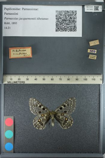 Media type: image;   Entomology 174837